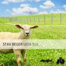 Stav Beger - Green Tech EP