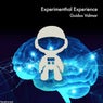 Experimenthal Experience
