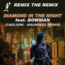 Diamond in the Night (feat. Bowman)