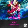 Chasing Jays (Extended Mix)