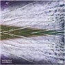 Senescence