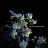 Late at Night (Extended Mix)