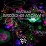 Birdsong At Dawn