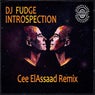 Introspection (Cee ElAssaad Remix)