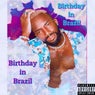 Birthday in Brazil (feat. $incero) [Radio Edit]