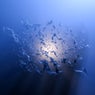 Fragments