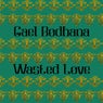 Wasted Love