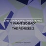 I Want So Bad (The Remixes 2)