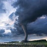 Twister