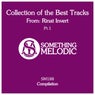 Collection of the Best Tracks From: Rinat Invert