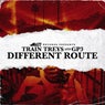 Different Route