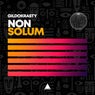 Non Solum