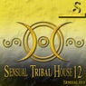 Sensual Tribal House #12