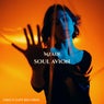 Soul Avion
