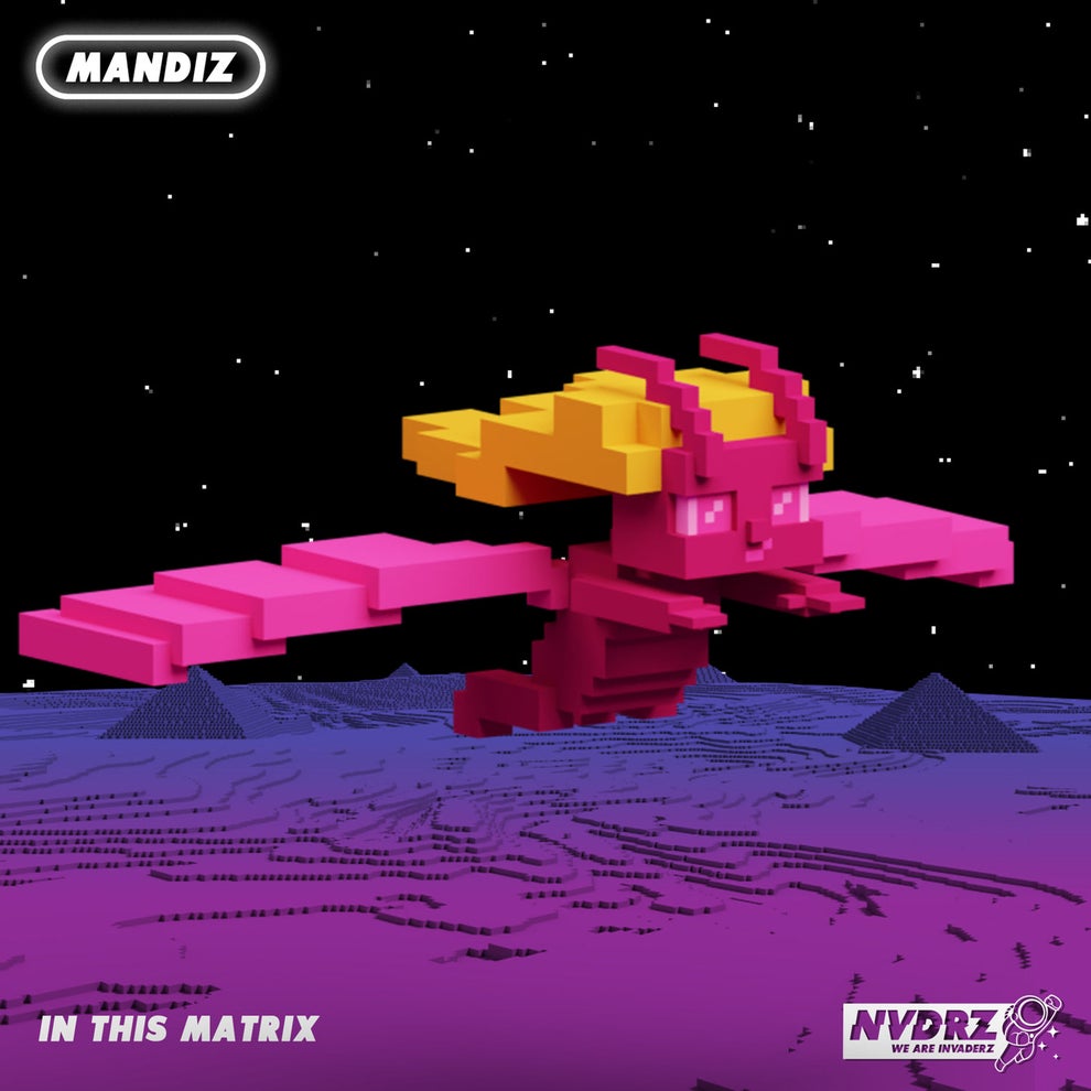 Mandiz - In This Matrix