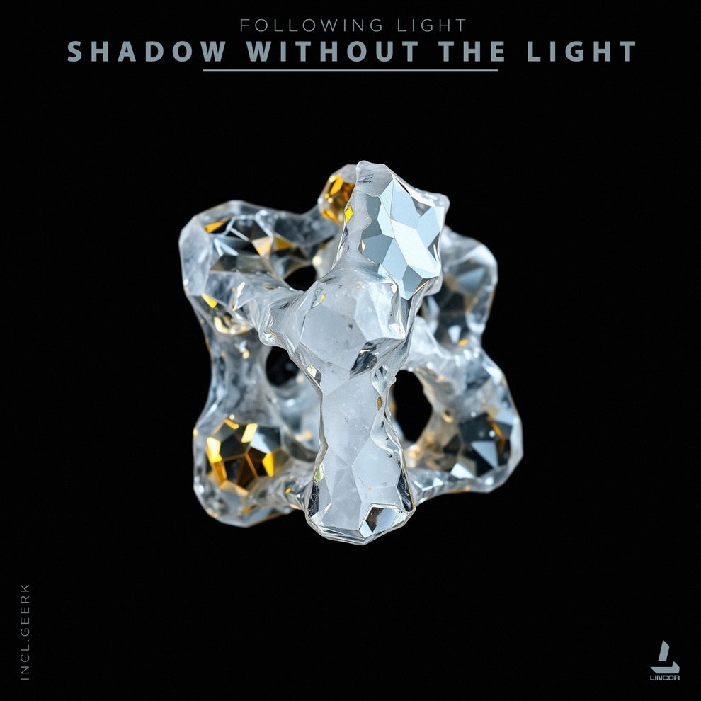 Following Light - Shadow Without the Light