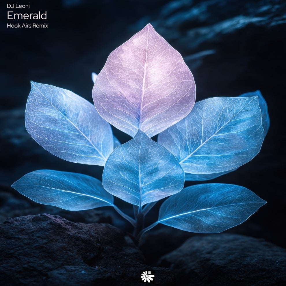DJ Leoni - Emerald (Hook Airs Remix)