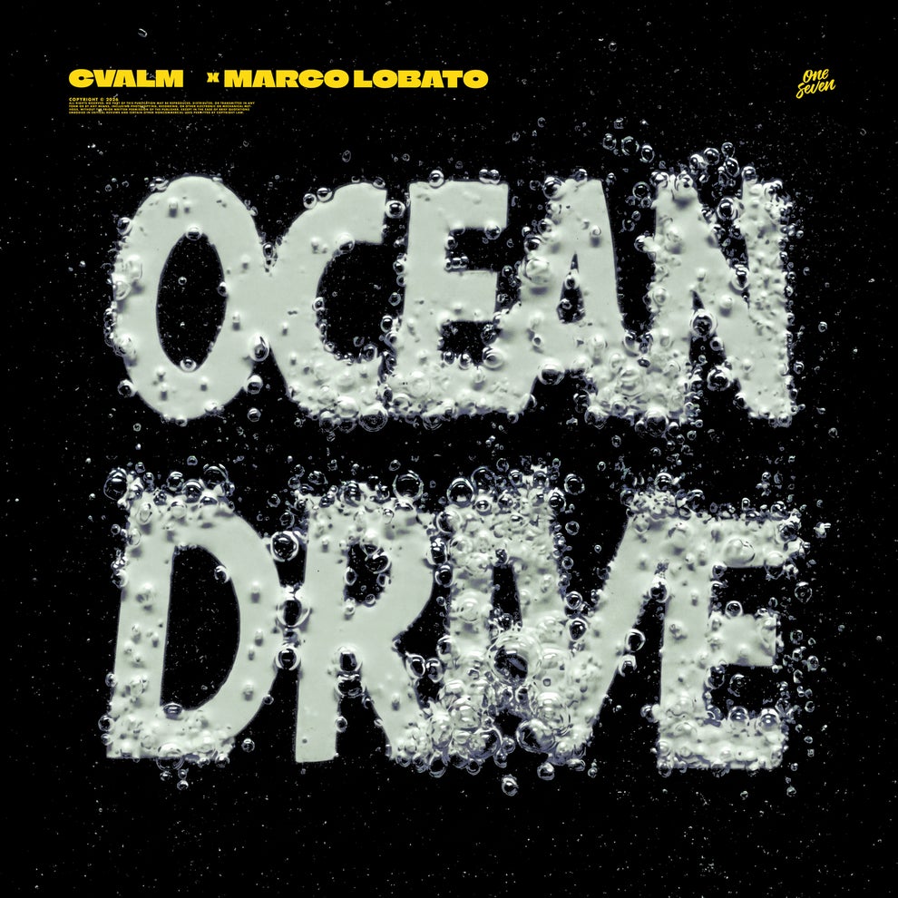 Marco Lobato CVALM - Ocean Drive