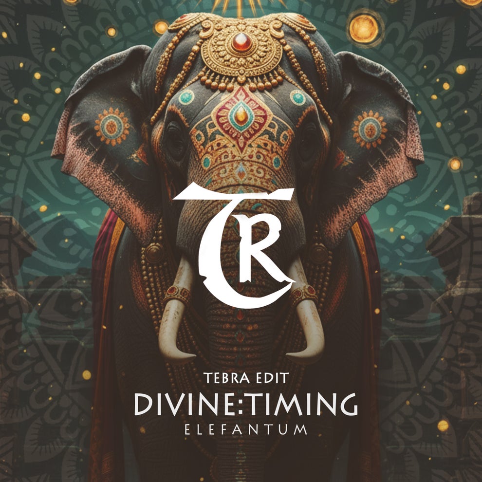 Lex Laurence  Liam Bongo pres. DIVINE_TIMING - Elefantum (Tebra Edit)