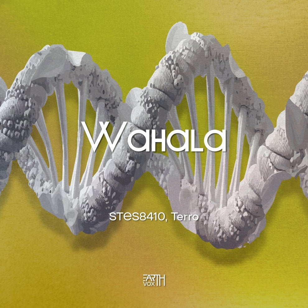 Terro STES8410 - Wahala