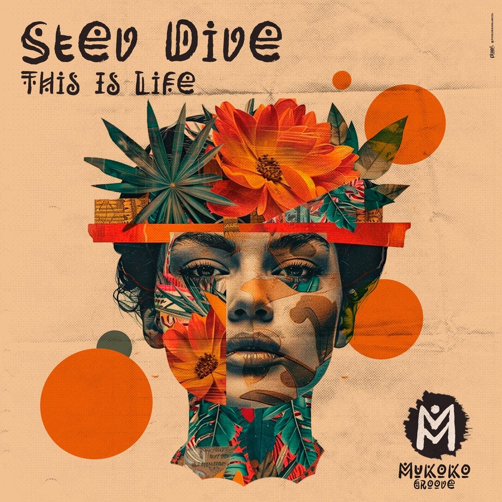 Stev Dive - This Is Life