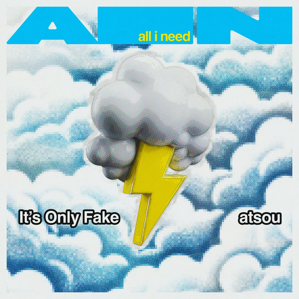 atsou - Its Only Fake