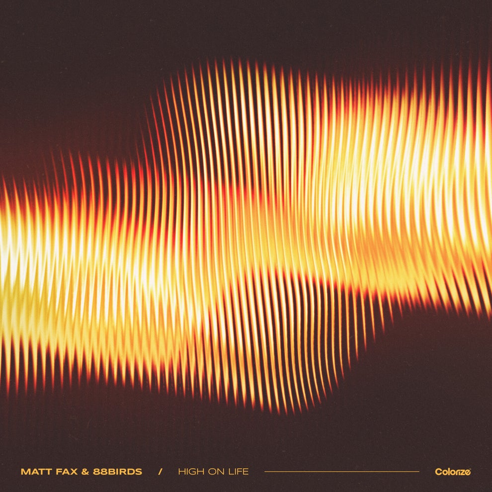 Matt Fax 88Birds - High On Life