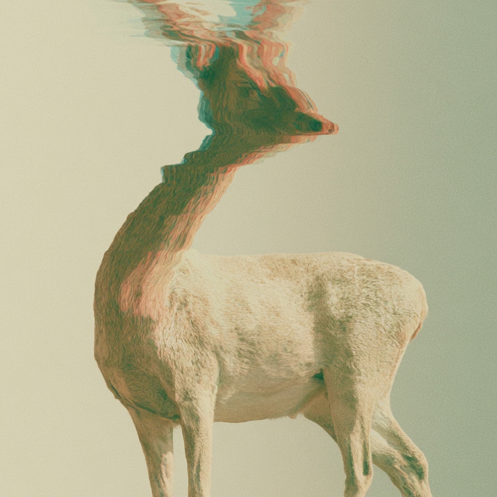 Hardmonique - The Deer