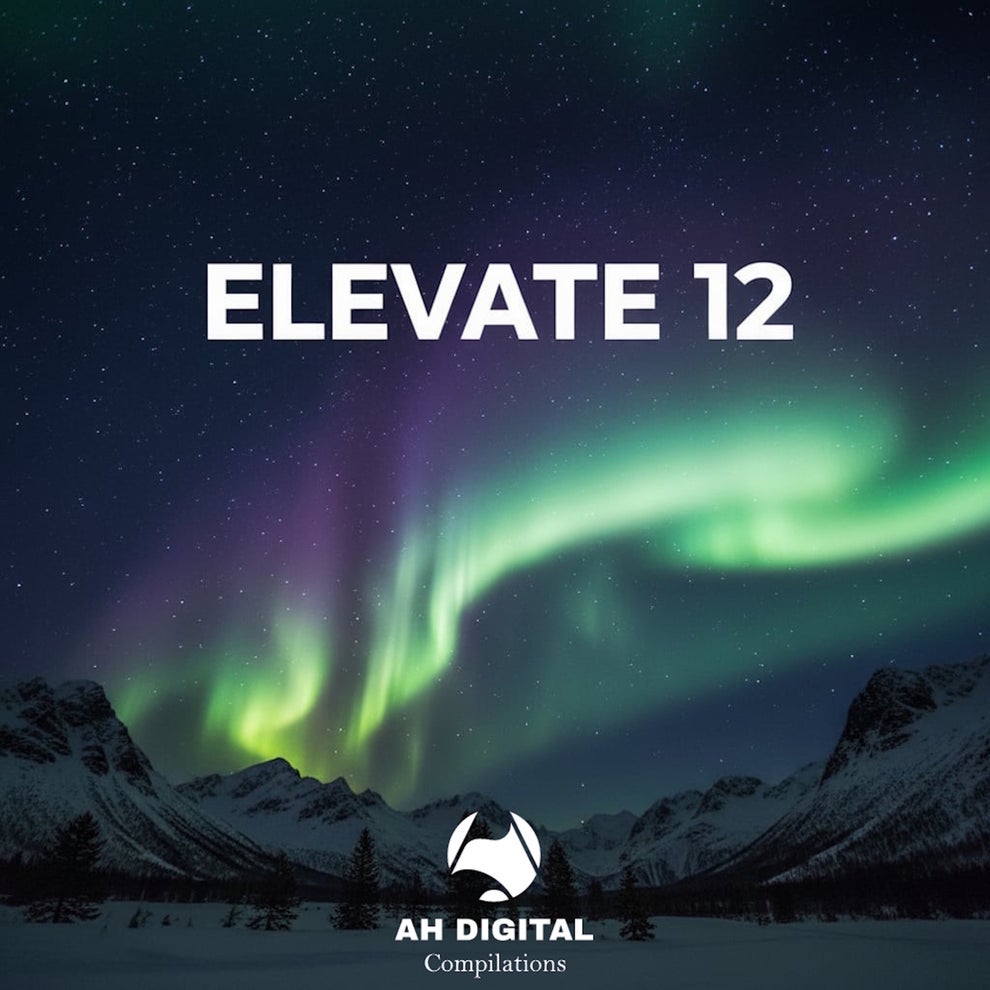 VA - Elevate 12
