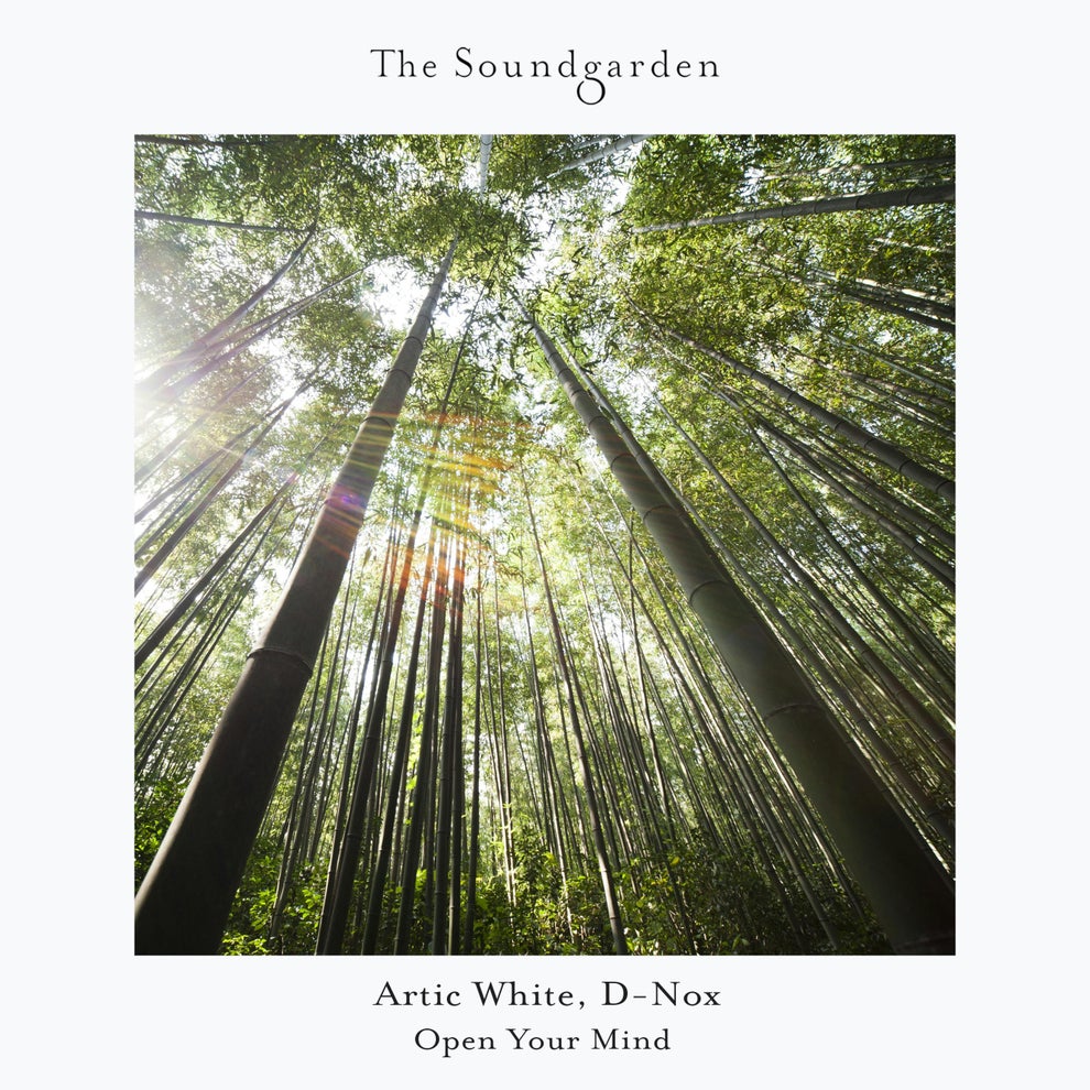 Artic White D-Nox - Open Your Mind
