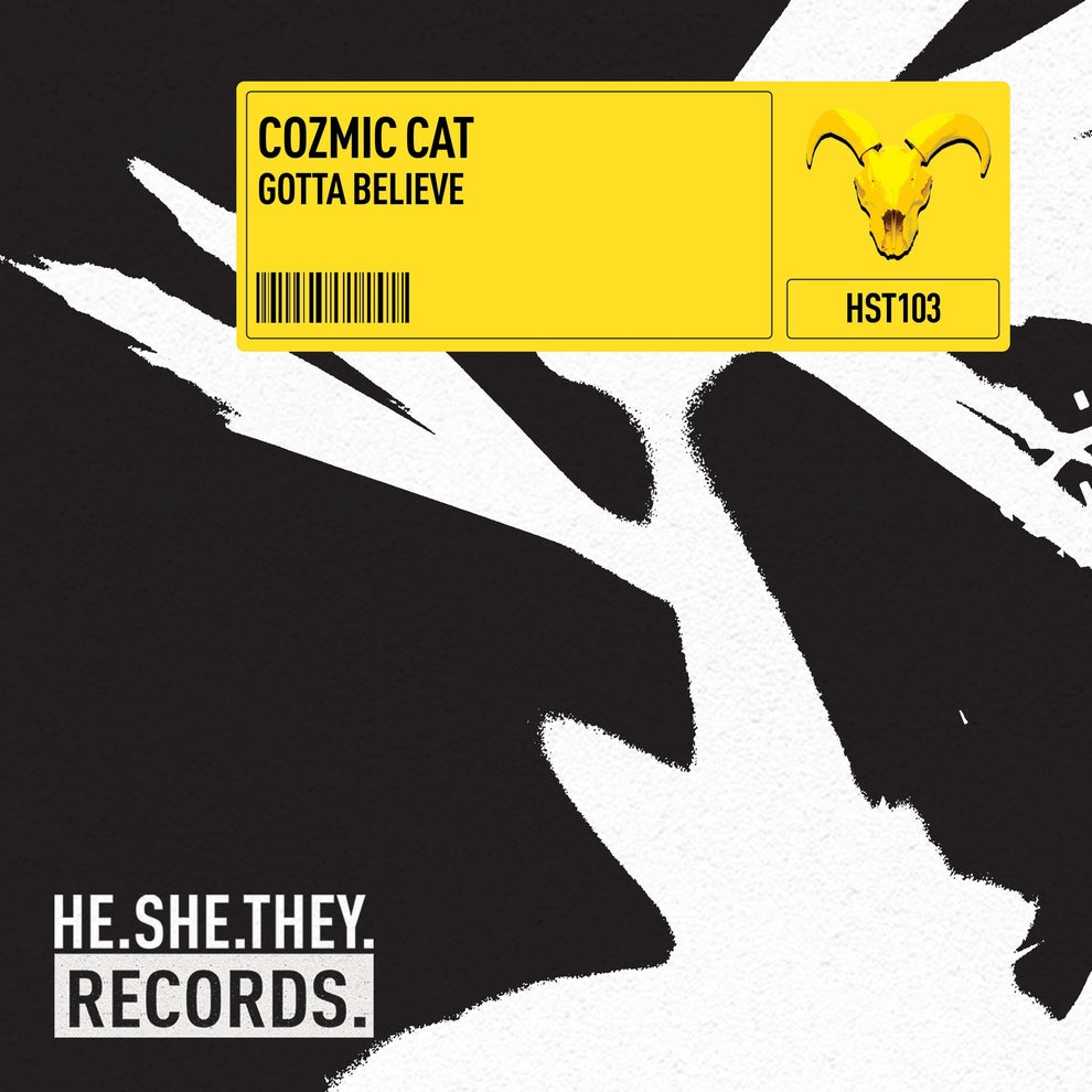 Cozmic Cat - Gotta Believe