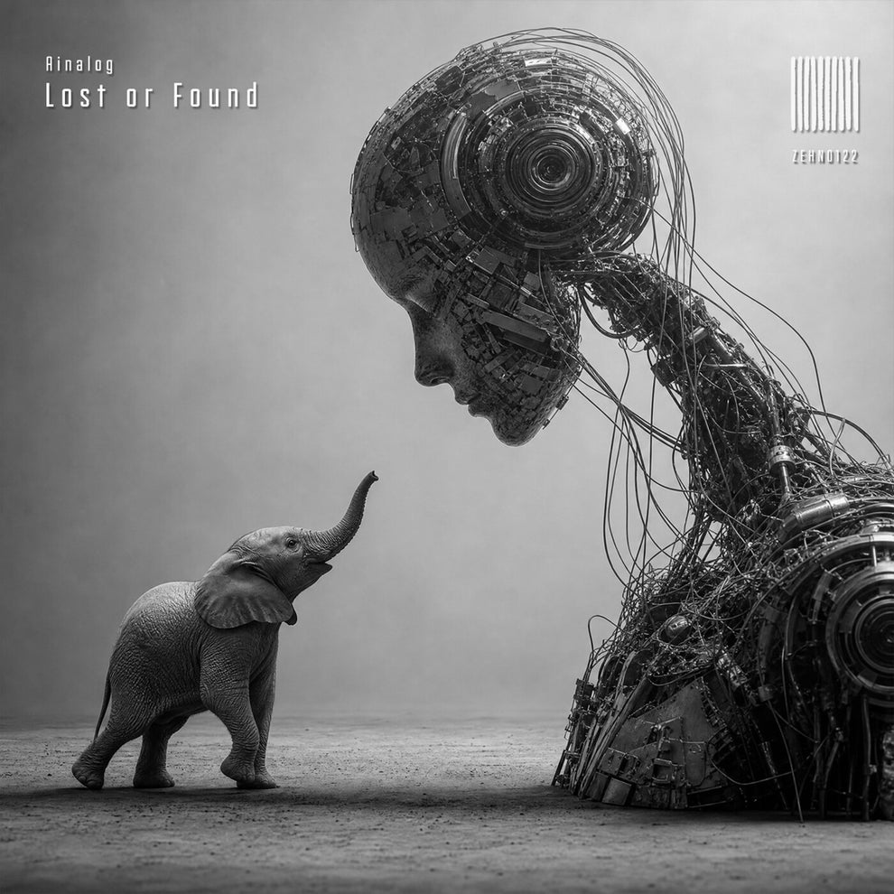 Ainalog - Lost or Found