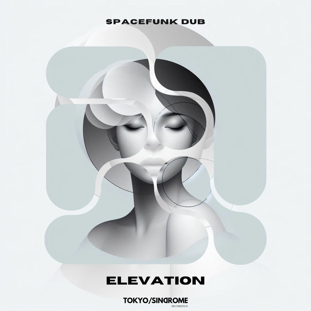 Spacefunk Dub - Elevation