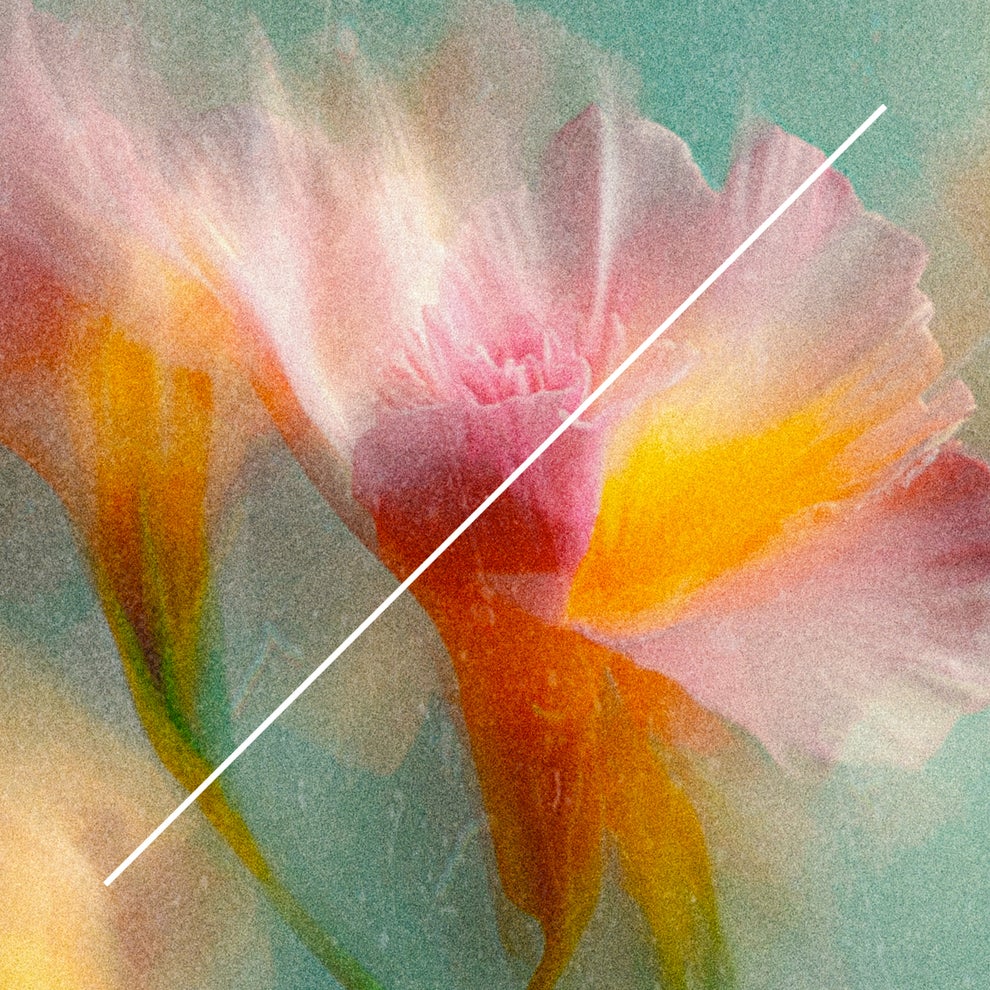 Ben Monday - Let the Magic Flow