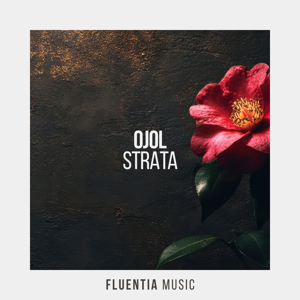 Ojol - Strata