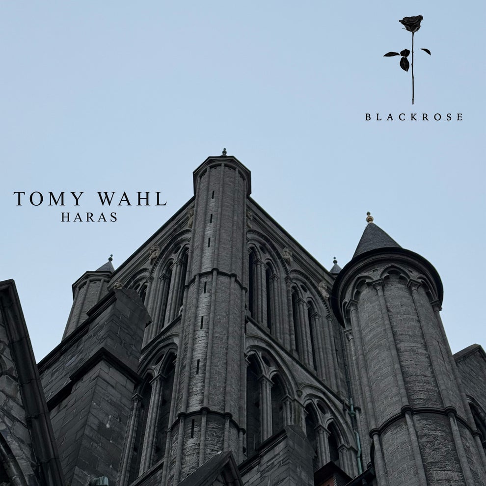 Tomy Wahl - Haras