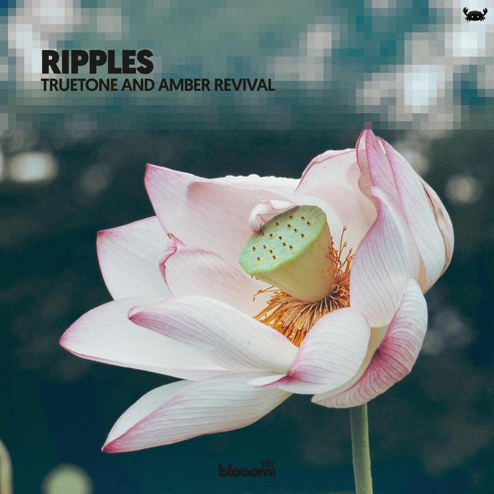 Amber Revival Truetone - Ripples