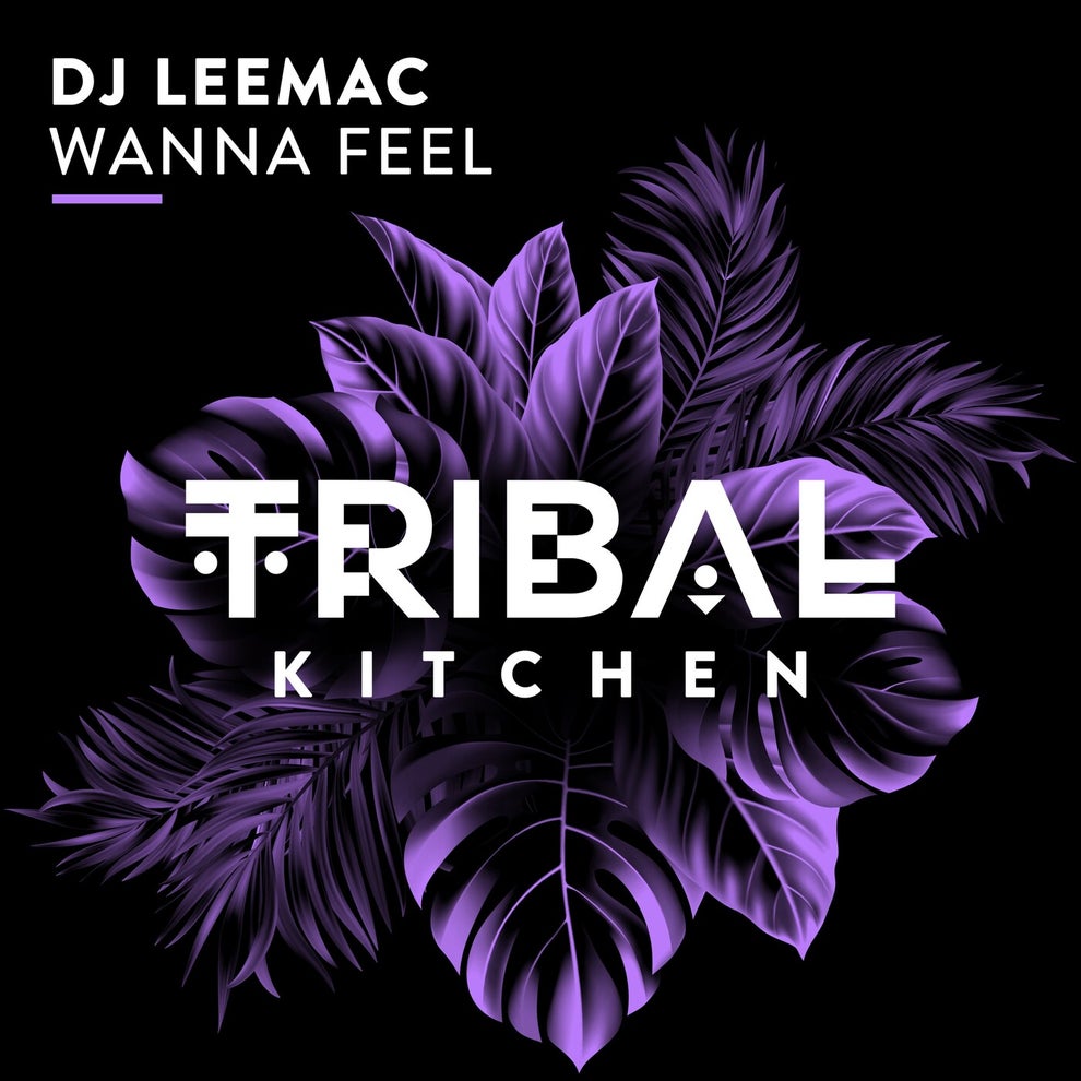 Dj LeeMac - Wanna Feel