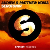 Audien & Matthew Koma - Serotonin (Original Mix)