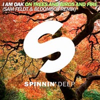 I Am Oak - On Trees And Birds And Fire (Sam Feldt & Bloombox Remix)