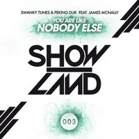 Swanky Tunes & Peking DuK - You Are Like Nobody Else feat. James Mcnally (Original Mix)