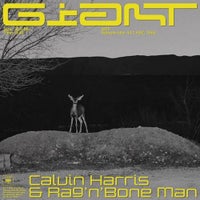 Calvin Harris & Rag’n’Bone Man - Giant (Original Mix)
