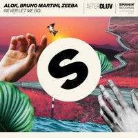 Alok, Bruno Martini & Zeeba - Never Let Me Go (Extended Mix)