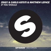 ZIGGY & Carlo Astuti & Matthew LeFace - If You Would (Original Mix)