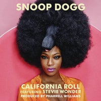 Stevie Wonder & Snoop Dogg - California Roll (Original Mix)
