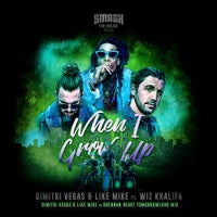 Brennan Heart - When I Grow Up Feat. Wiz Khalifa ((Dimitri Vegas & Like Mike Vs Brennan Heart Tomorrowland Mix))