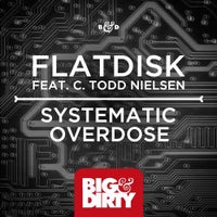 Flatdisk - Systematic Overdose feat. C. Todd Nielsen (Original Mix)