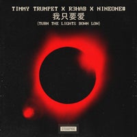 R3HAB, Timmy Trumpet & NINEONE# - Turn The Lights Down Low (Chinese Version) (Extended Mix)