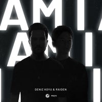 Raiden & Deniz Koyu - Am I (Original Mix)