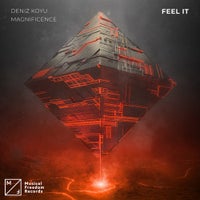 Deniz Koyu & Magnificence - Feel It (Extended Mix)